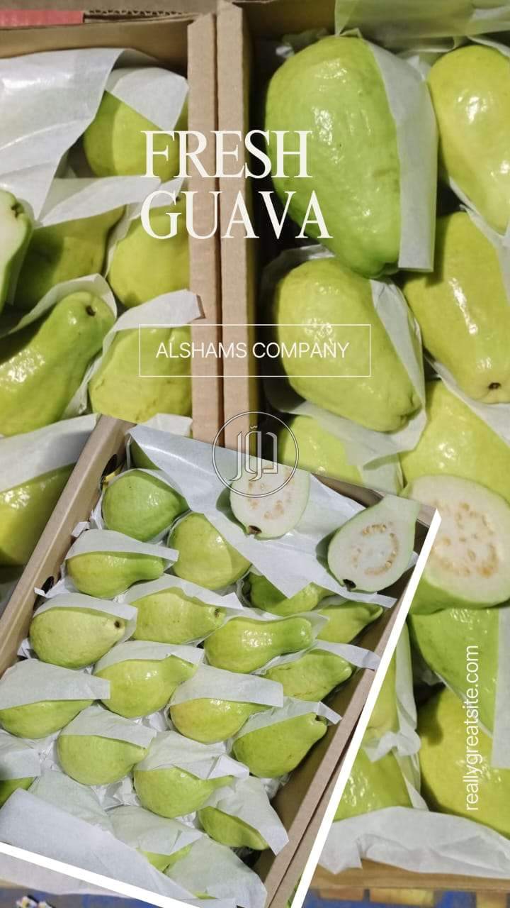 صور محاصيل وبذور زراعية في الامارات - دوّر.كوم