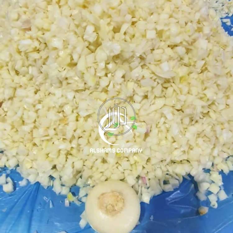 صور محاصيل وبذور زراعية في الامارات - دوّر.كوم