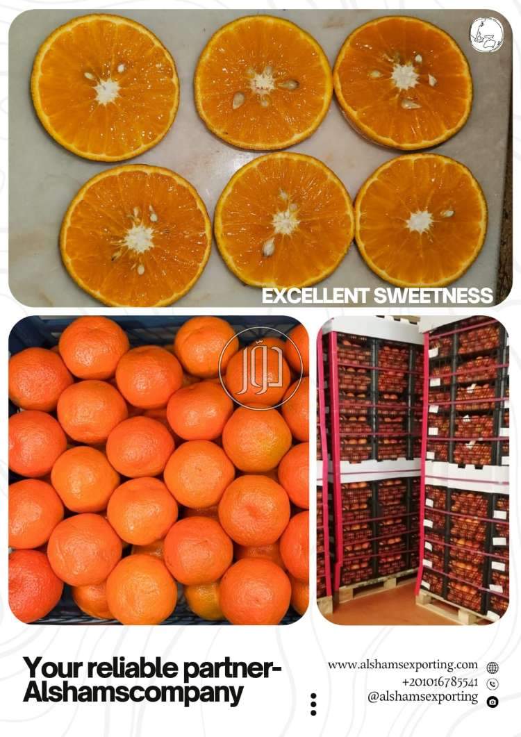 محاصيل زراعية في الامارات