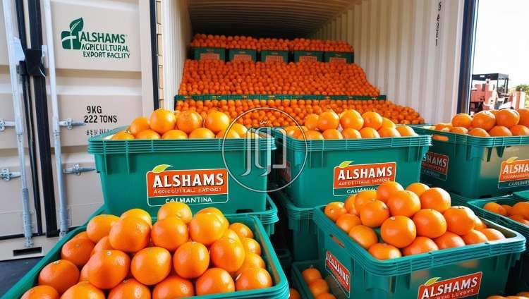 محاصيل زراعية في الامارات