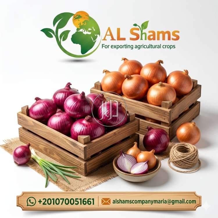 محاصيل زراعية في الامارات - دوّر.كوم