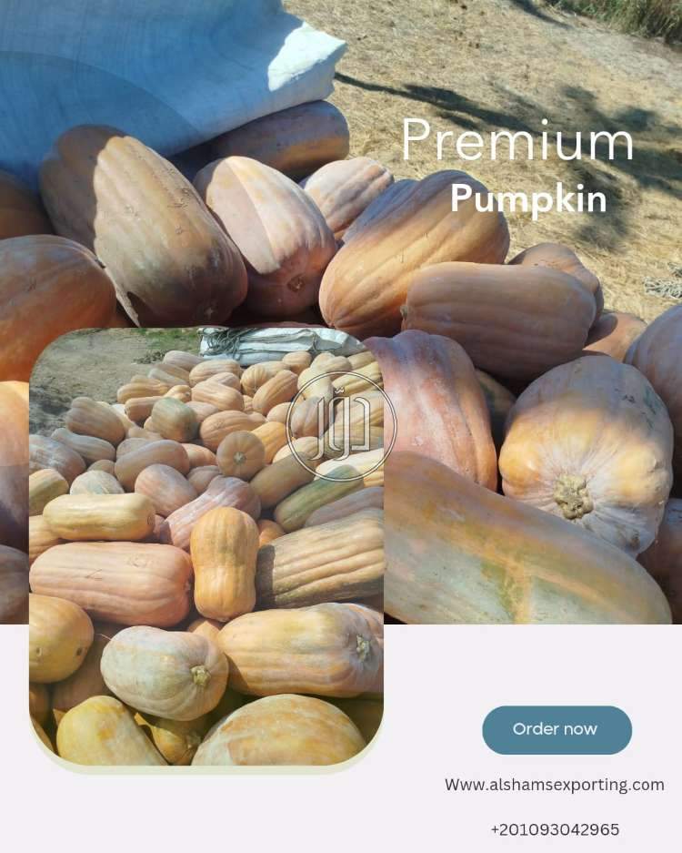 محاصيل زراعية في الامارات - دوّر.كوم