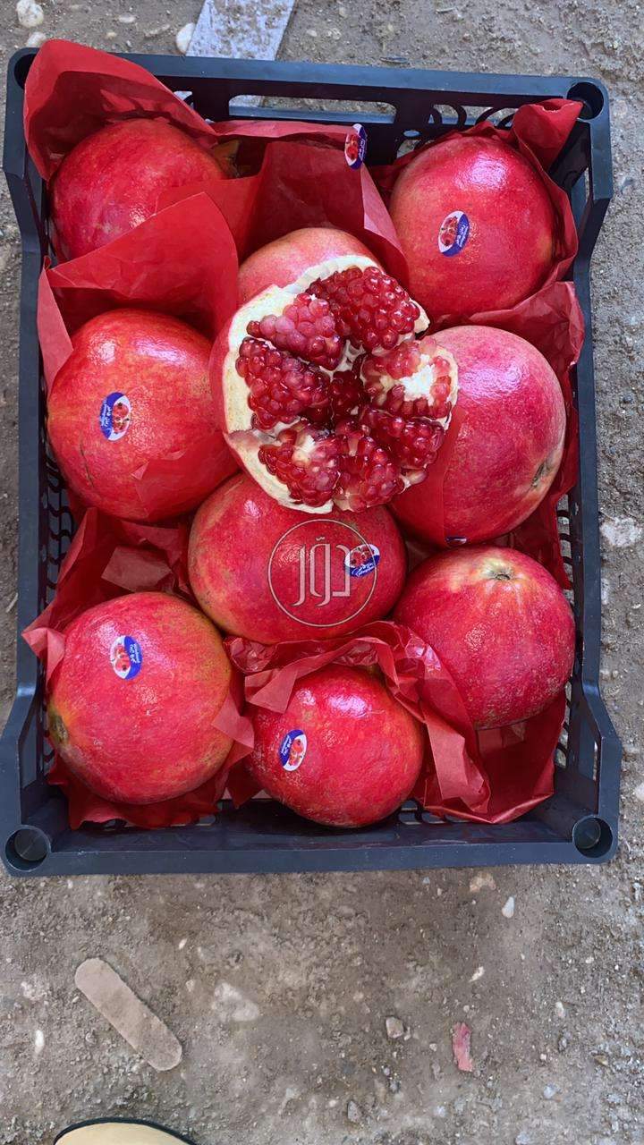 صور محاصيل وبذور زراعية في الامارات - دوّر.كوم