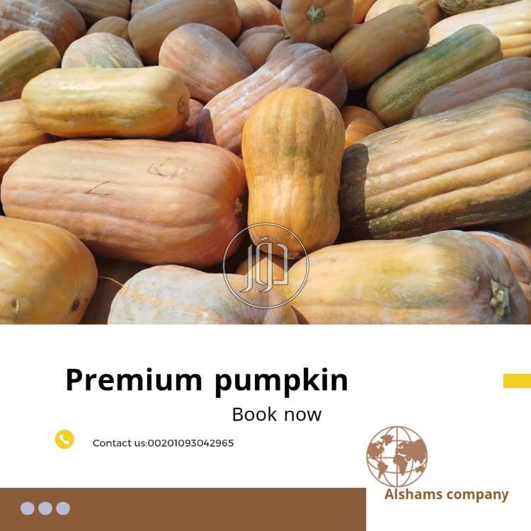 محاصيل زراعية في الامارات - دوّر.كوم