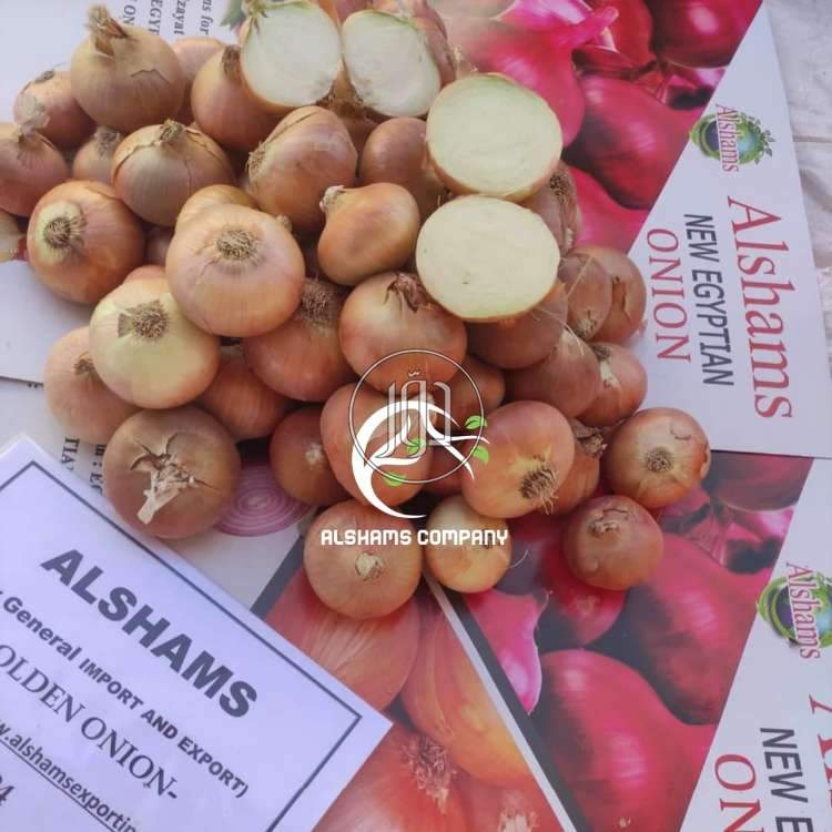 صور محاصيل وبذور زراعية في الامارات - دوّر.كوم