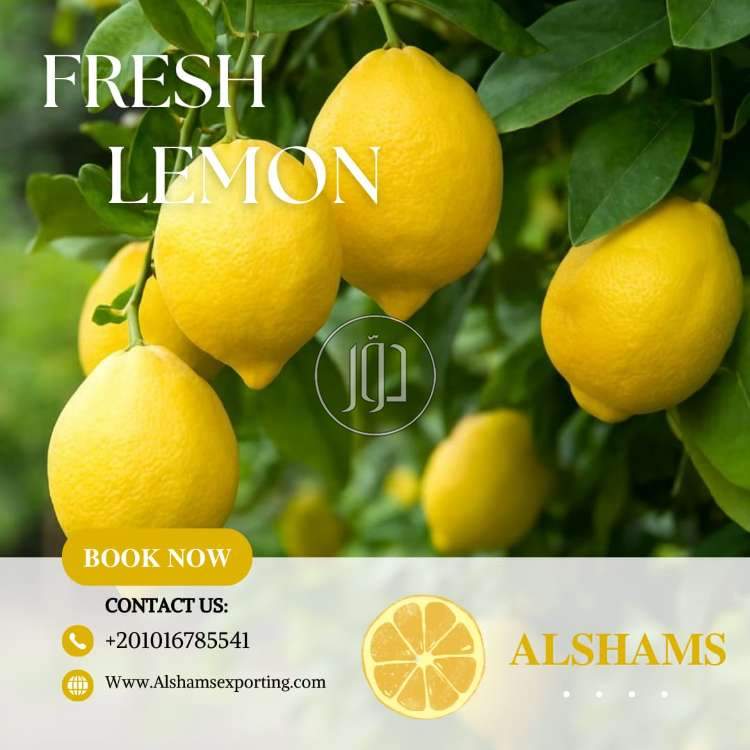 محاصيل زراعية في الامارات - دوّر.كوم