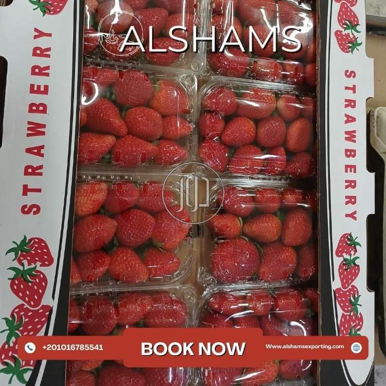 محاصيل زراعية في الامارات - دوّر.كوم