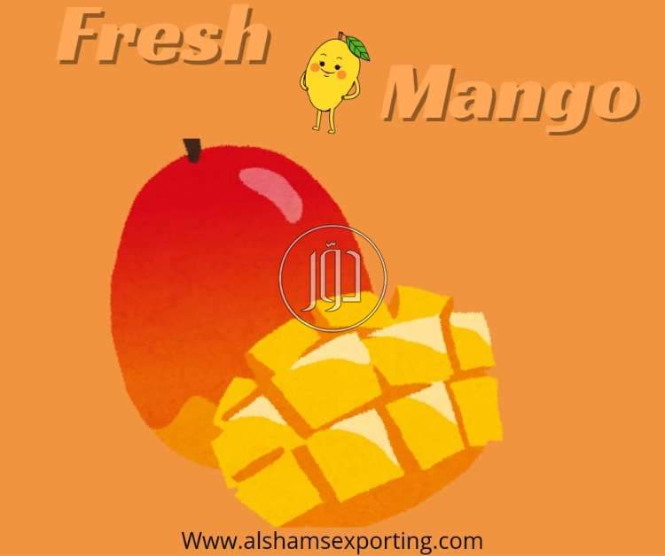 صور محاصيل وبذور زراعية في الامارات - دوّر.كوم