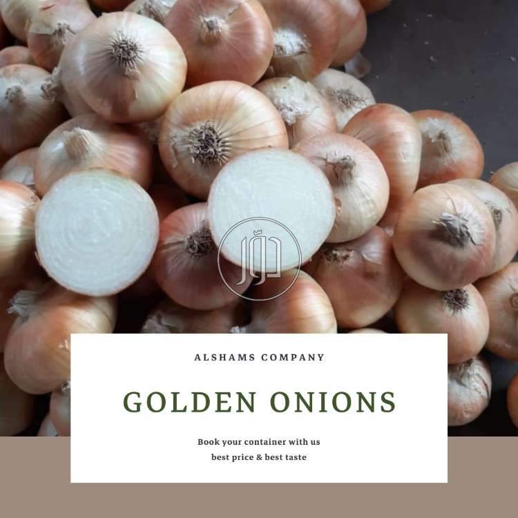 صور محاصيل وبذور زراعية في الامارات - دوّر.كوم