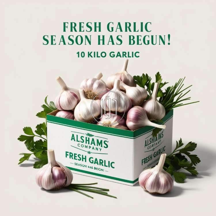 صور محاصيل وبذور زراعية في الامارات - دوّر.كوم