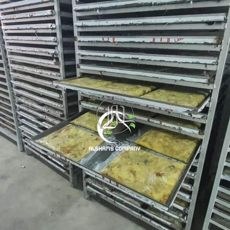 صور محاصيل وبذور زراعية في الامارات - دوّر.كوم