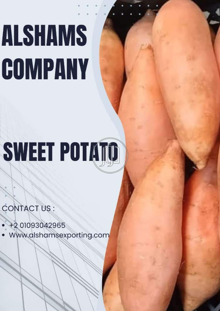 SWEWT POTATO