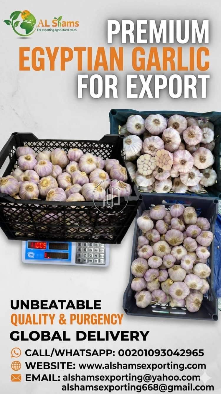 محاصيل زراعية في الامارات