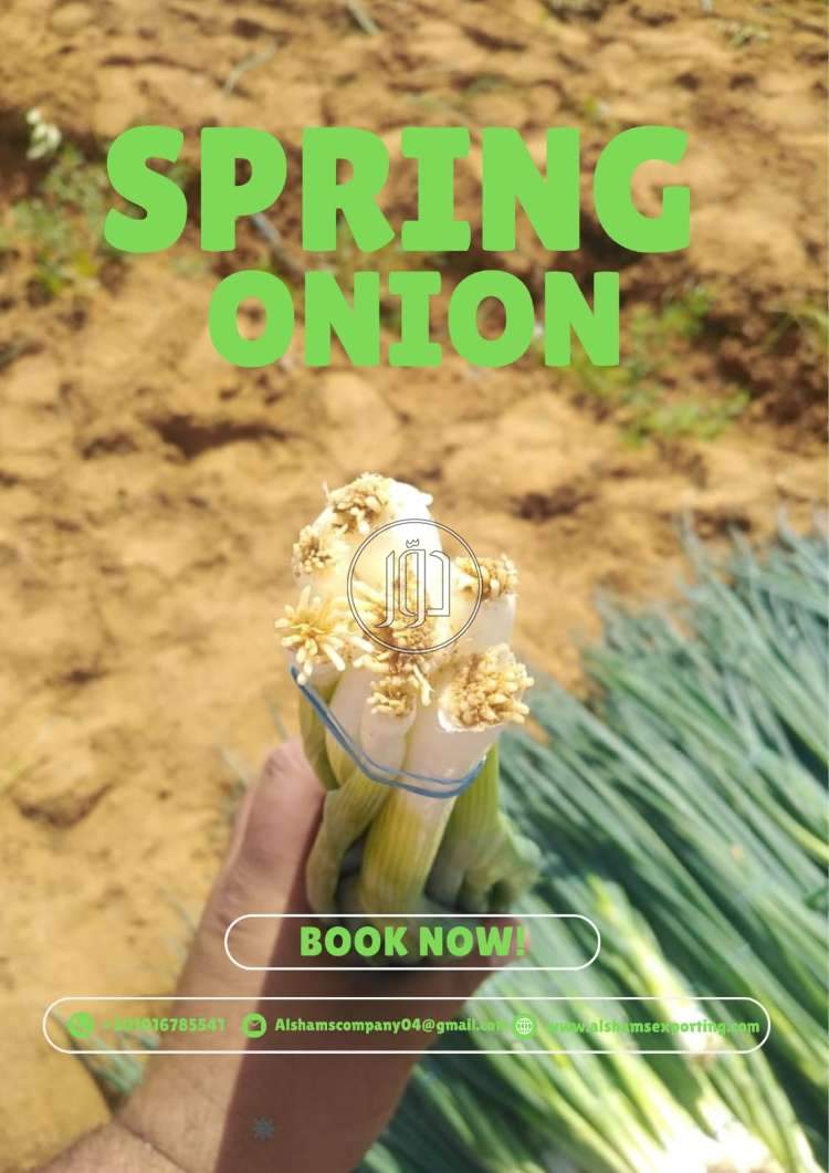 محاصيل زراعية في الامارات