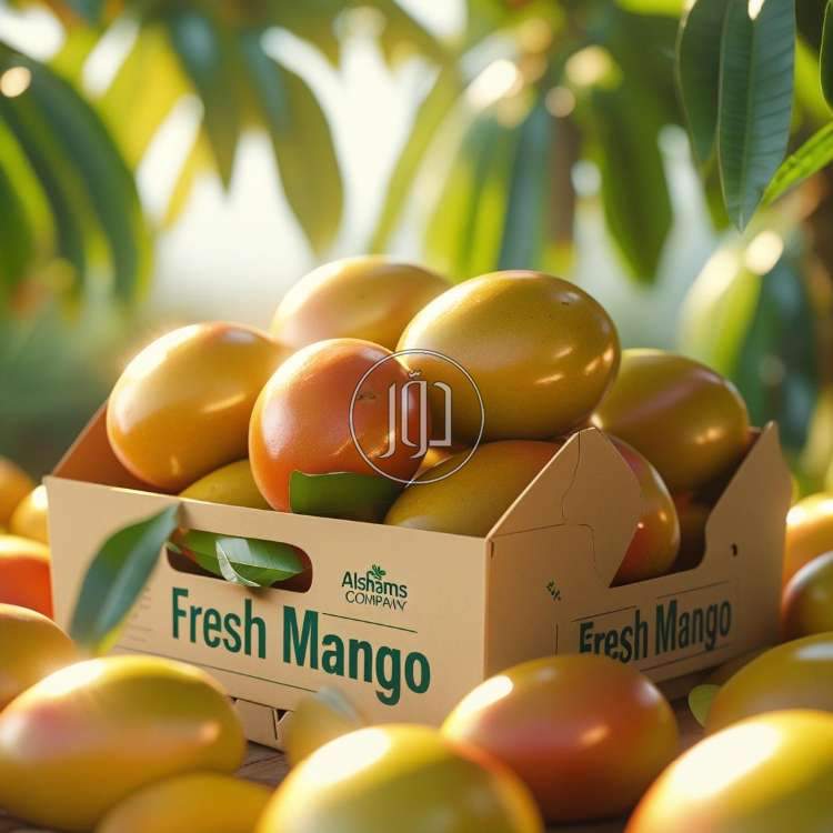 𝑭𝒓𝒆𝒔𝒉 𝑴𝒂𝒏𝒈𝒐𝒆 - محاصيل وبذور زراعية في الامارات بالكامل