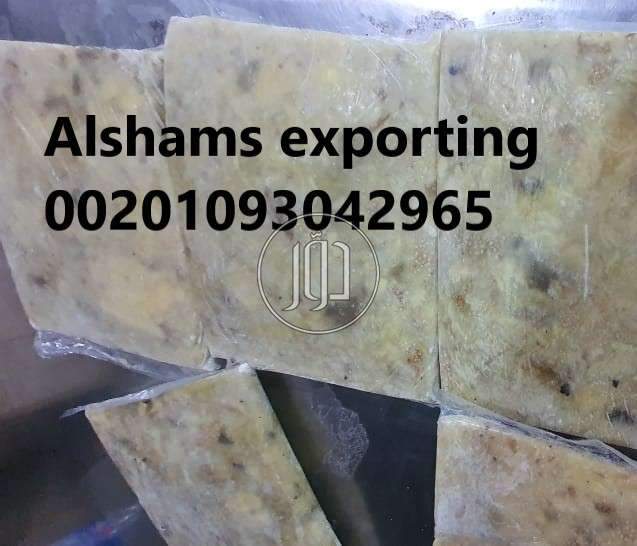 صور محاصيل وبذور زراعية في الامارات - دوّر.كوم