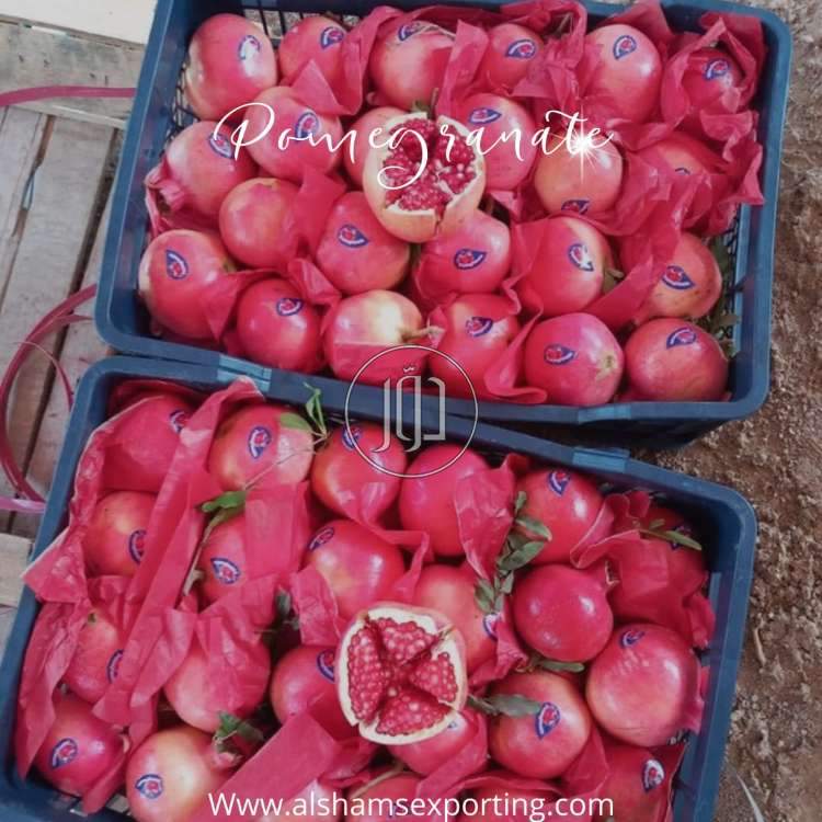 Fresh pomegranate