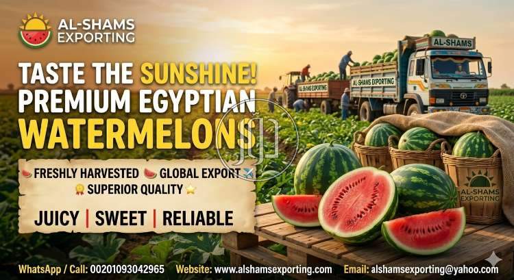 محاصيل زراعية في الامارات