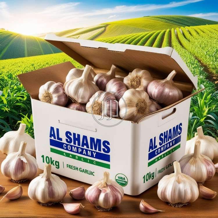 صور محاصيل وبذور زراعية في الامارات - دوّر.كوم