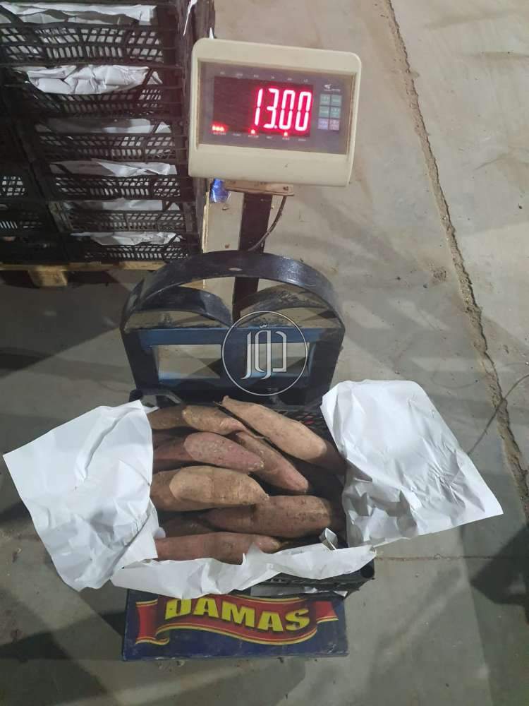 صور محاصيل وبذور زراعية في الامارات - دوّر.كوم