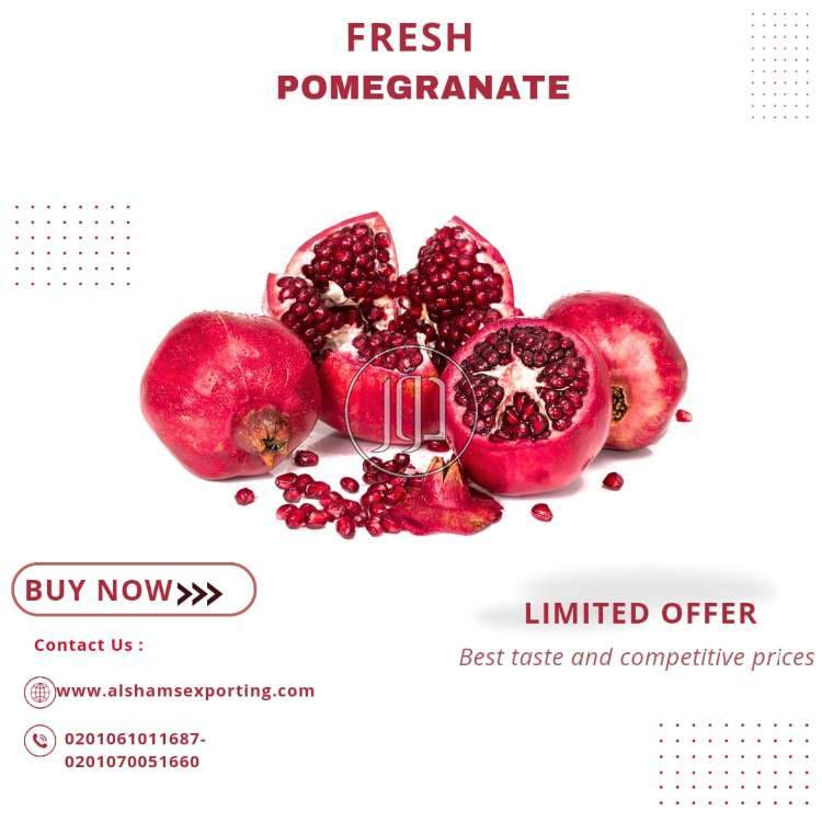 صور محاصيل وبذور زراعية في دبي - دوّر.كوم