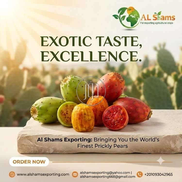 محاصيل زراعية في الامارات - دوّر.كوم
