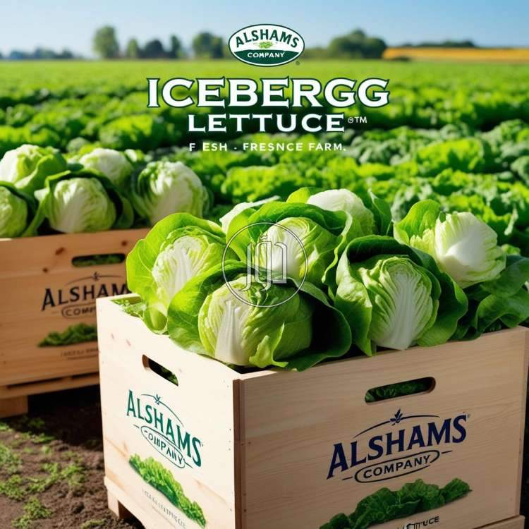 صور محاصيل وبذور زراعية في الامارات - دوّر.كوم