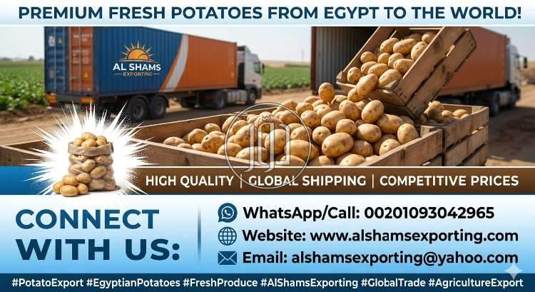 محاصيل زراعية في الامارات