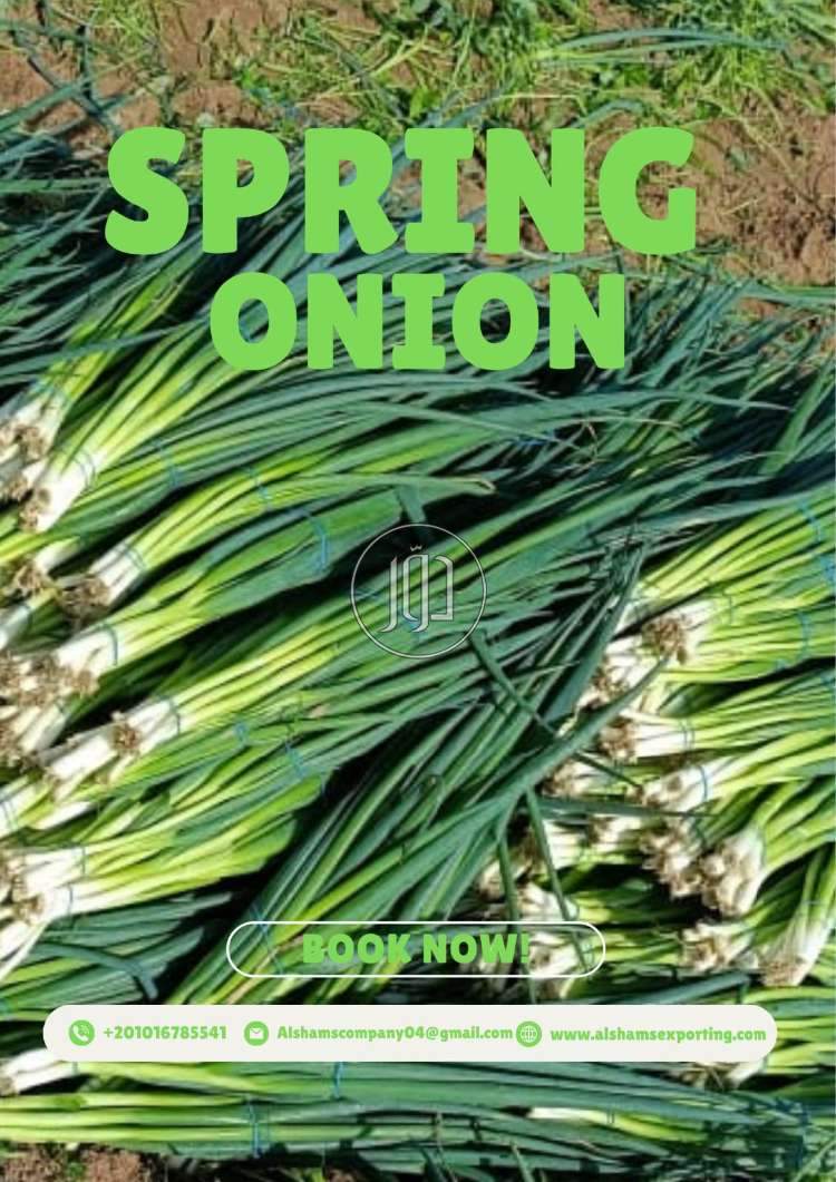 محاصيل زراعية في الامارات - دوّر.كوم