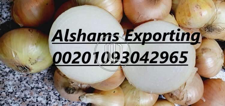 صور محاصيل وبذور زراعية في الامارات - دوّر.كوم