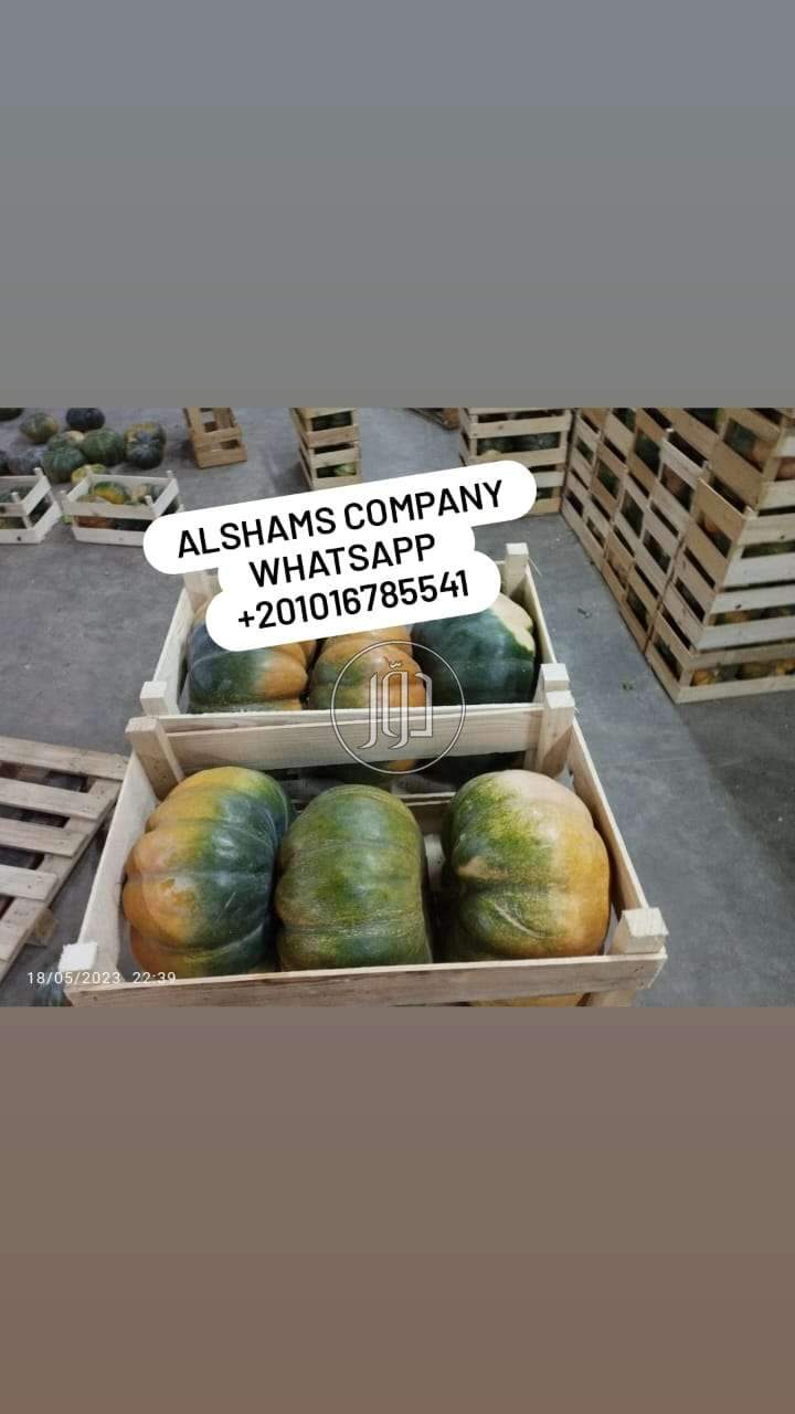 صور محاصيل وبذور زراعية في الامارات - دوّر.كوم