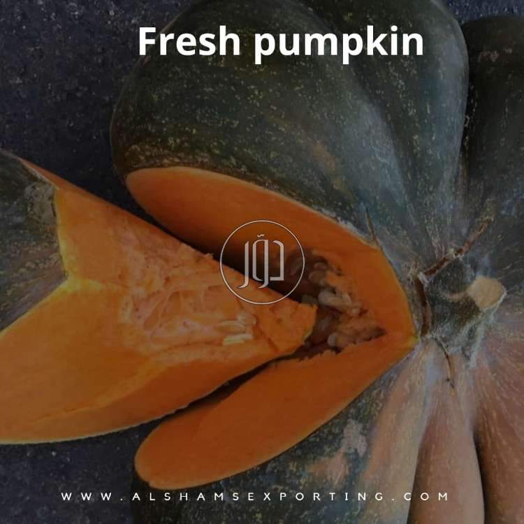 صور محاصيل وبذور زراعية في الامارات - دوّر.كوم