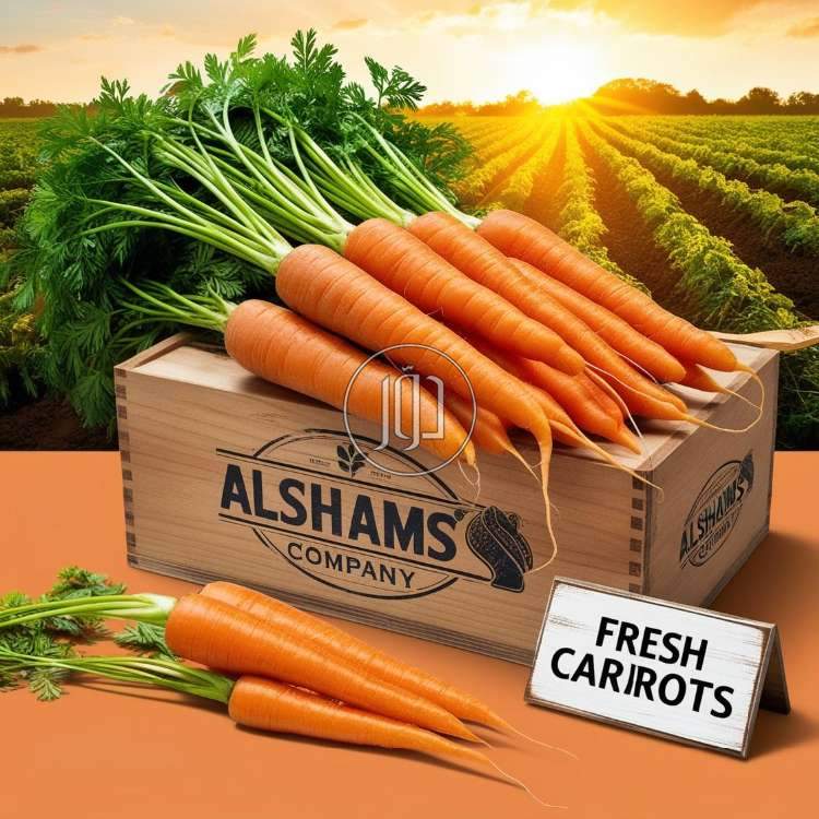 محاصيل زراعية في الامارات - دوّر.كوم