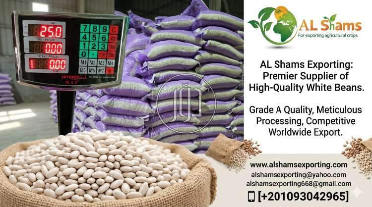 محاصيل زراعية في الامارات - دوّر.كوم