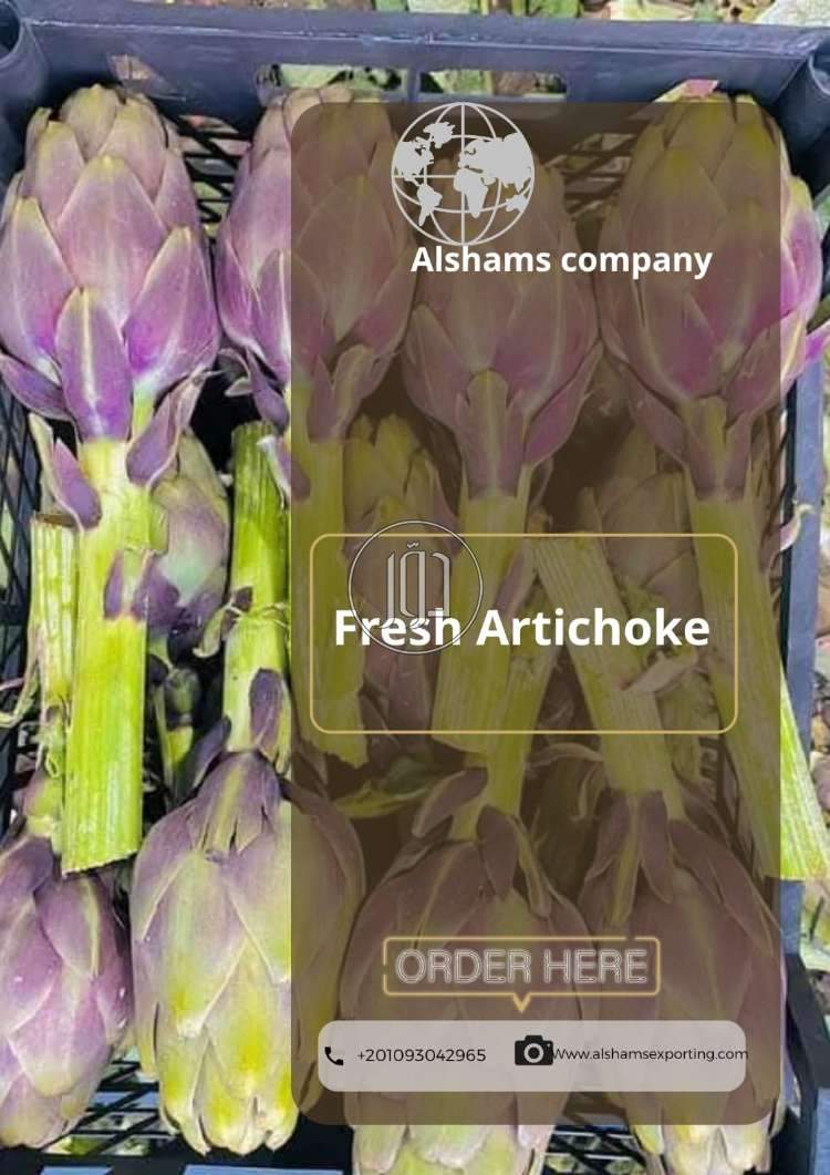 محاصيل زراعية في الامارات