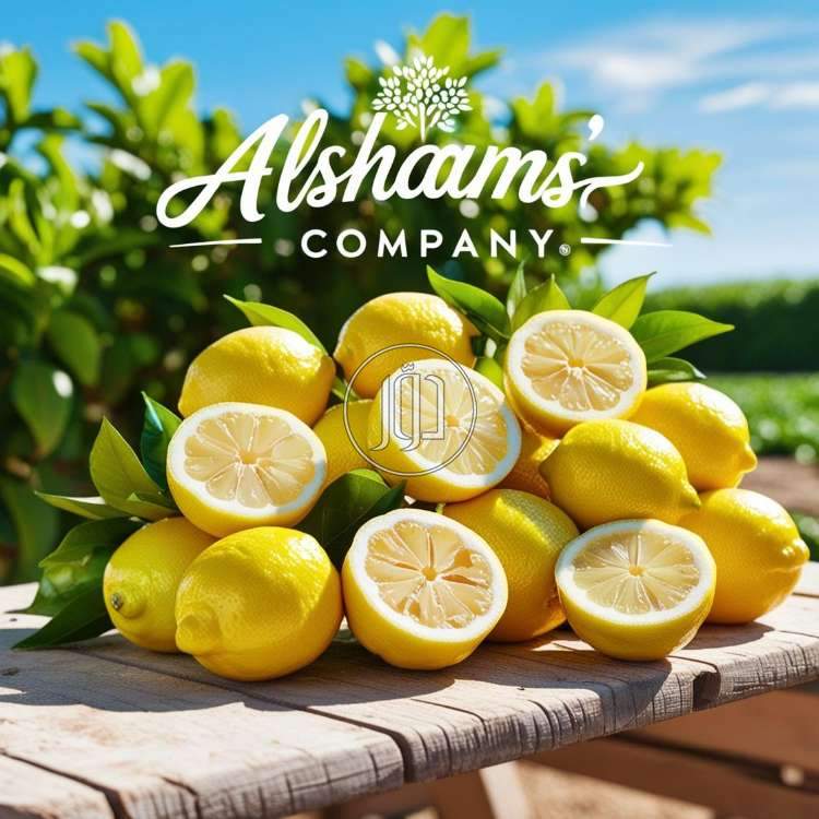 صور محاصيل وبذور زراعية في الامارات - دوّر.كوم