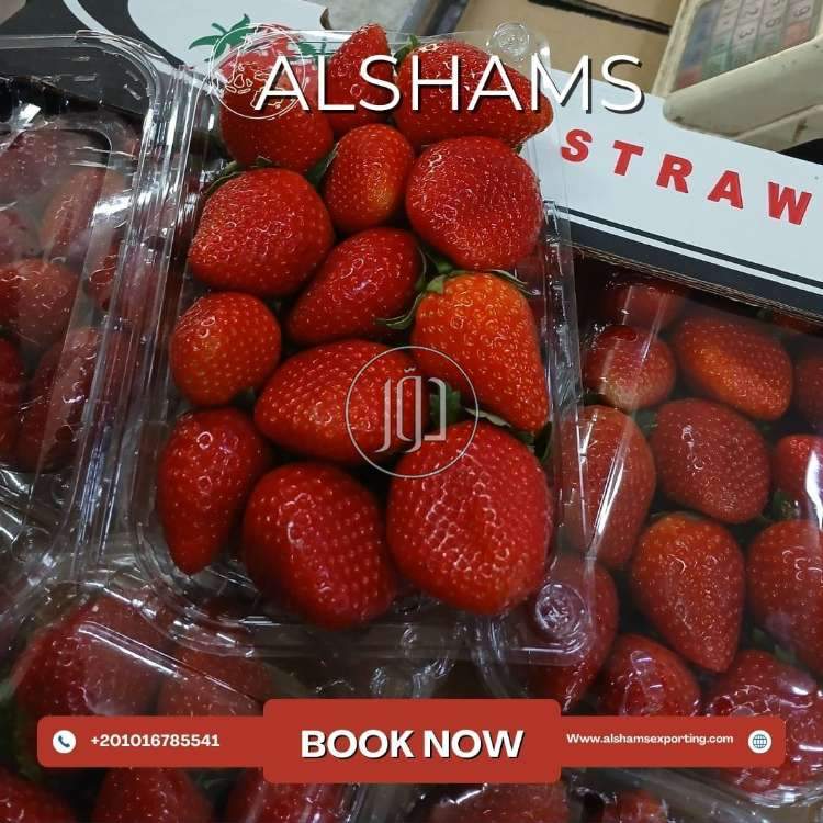 محاصيل زراعية في الامارات - دوّر.كوم