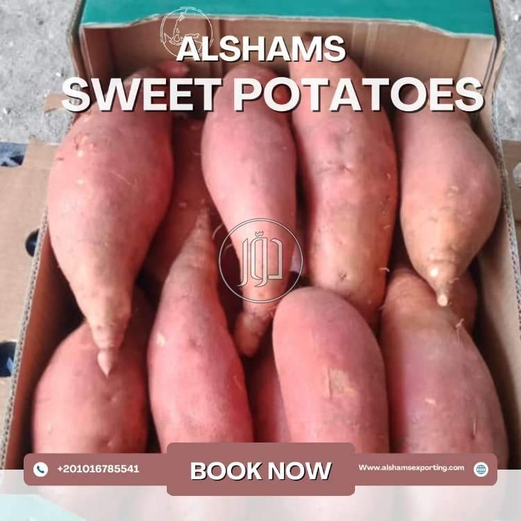 محاصيل زراعية في الامارات - دوّر.كوم