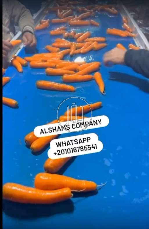 صور محاصيل وبذور زراعية في الامارات - دوّر.كوم