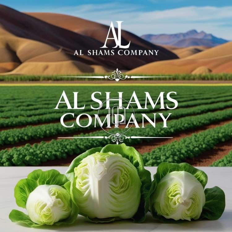 صور محاصيل وبذور زراعية في الامارات - دوّر.كوم