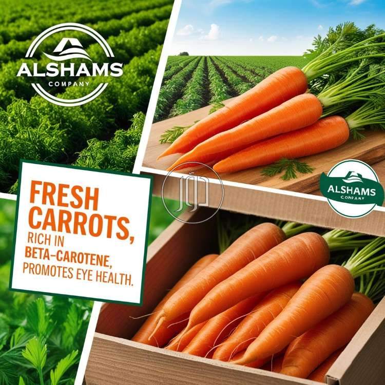 صور محاصيل وبذور زراعية في الامارات - دوّر.كوم