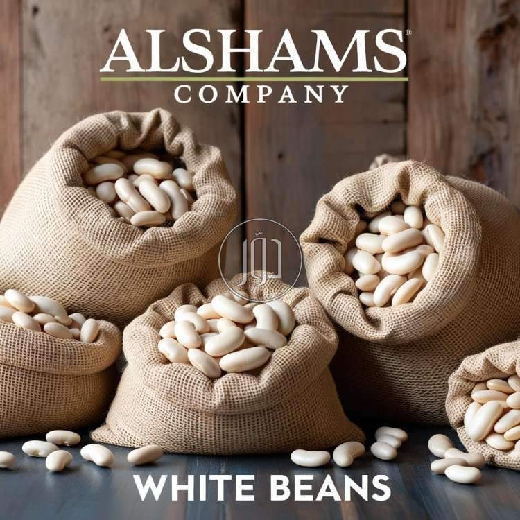 صور محاصيل وبذور زراعية في الامارات - دوّر.كوم