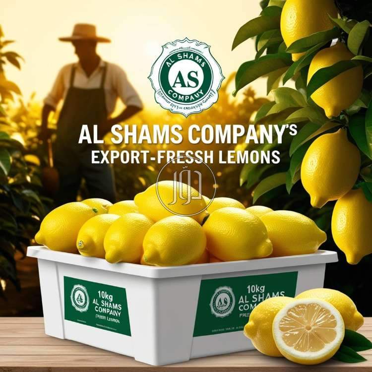 صور محاصيل وبذور زراعية في الامارات - دوّر.كوم