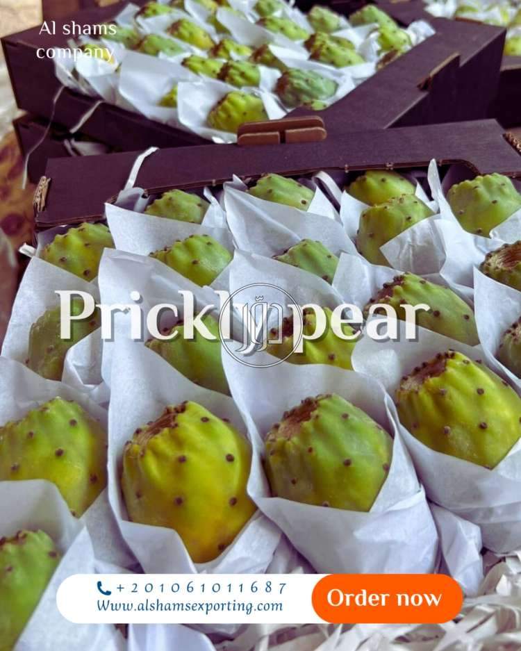 صور محاصيل وبذور زراعية في الامارات - دوّر.كوم