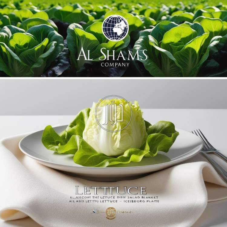 صور محاصيل وبذور زراعية في السعودية - دوّر.كوم