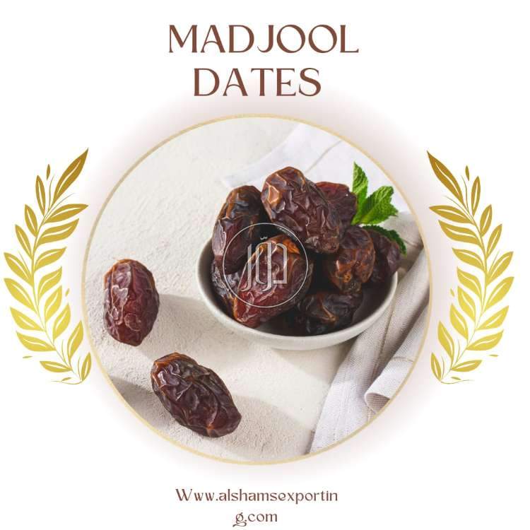 صور محاصيل وبذور زراعية في السعودية - دوّر.كوم