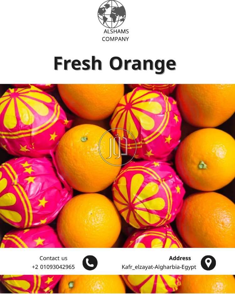 FRESH ORANGE