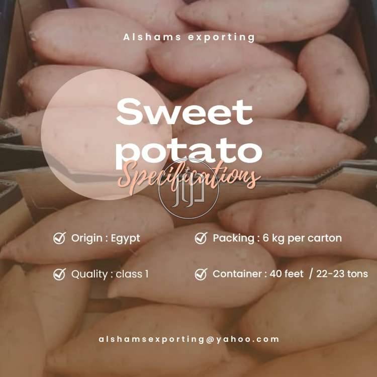 صور محاصيل وبذور زراعية في السعودية - دوّر.كوم