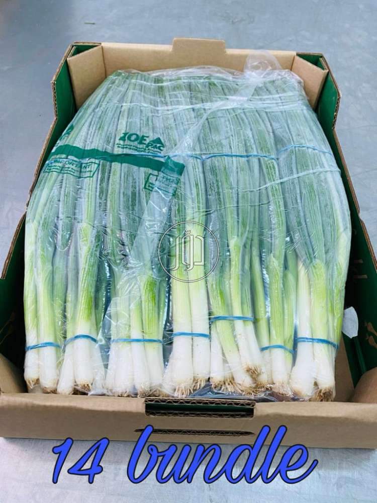 صور محاصيل وبذور زراعية في السعودية - دوّر.كوم