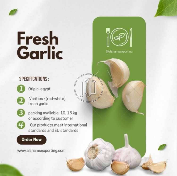 صور محاصيل وبذور زراعية في السعودية - دوّر.كوم